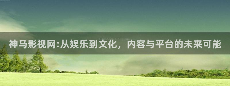琪琪影院一级片：神马影视网:从娱乐到文化，内容与平台的未来可能