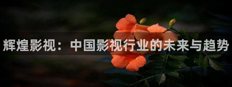 琪琪se影院在线观看：辉煌影视：中国影视行业的未来与趋势