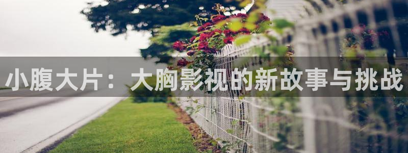 神马琪琪影院伦理片：小腹大片：大胸影视的新故事与挑战