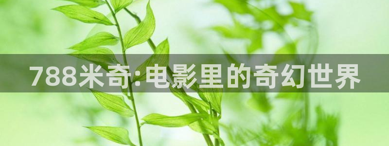 琪琪琪影院：788米奇:电影里的奇幻世界