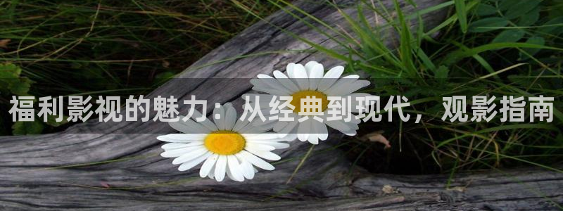 琪琪秋霞影院：福利影视的魅力：从经典到现代，观影指南