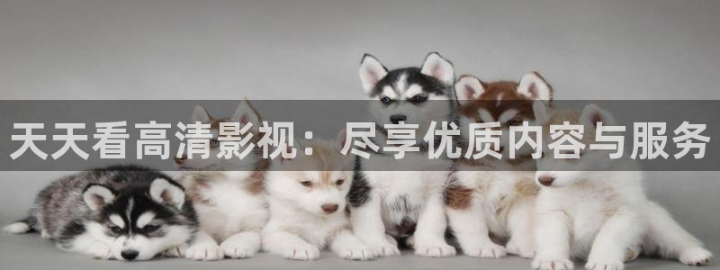 琪琪影视官网：天天看高清影视：尽享优质内容与服务