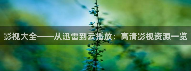 琪琪网影院：影视大全——从迅雷到云播放：高清影视资源一览