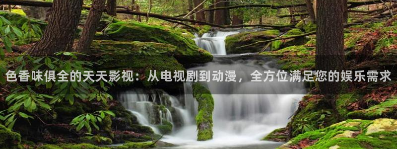 琪琪网电影：色香味俱全的天天影视：从电视剧到动漫，全方位满足您的娱乐需求