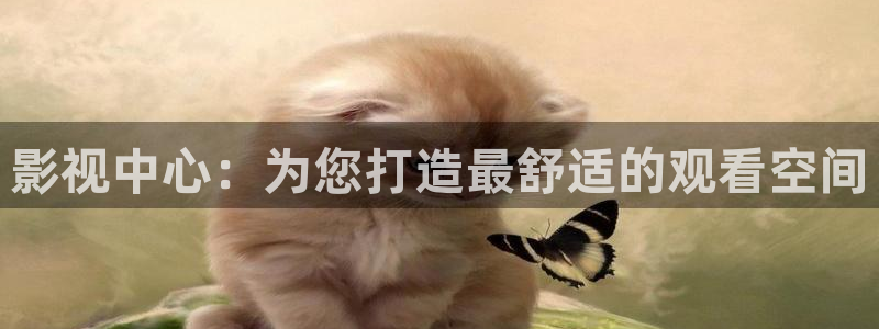 琪琪电影院480：影视中心：为您打造最舒适的观看空间