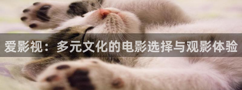 琪琪色在线影院：爱影视：多元文化的电影选择与观影体验