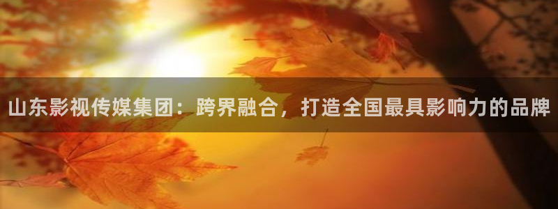 琪琪影院a：山东影视传媒集团：跨界融合，打造全国最具影响力的品牌