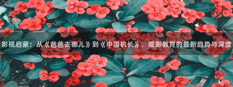 琪琪影院：影视启蒙：从《爸爸去哪儿》到《中国机长》，观影教育的最新趋势与深度